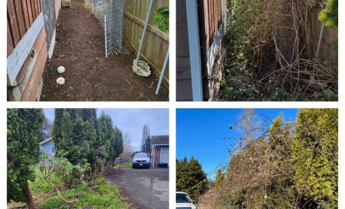 DJ's Lawn Care Services Ltd