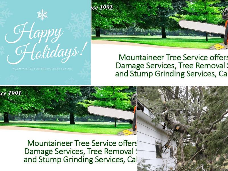 Mountaineer Tree Services