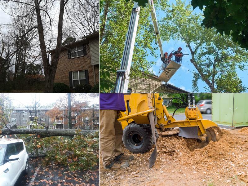 Austin's Tree Service