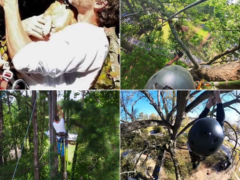 Womack Tree Pruning & Removal Service