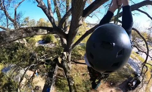 Womack Tree Pruning & Removal Service Washington Rd, Augusta Georgia 30904