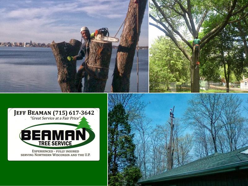 Beaman Tree Service