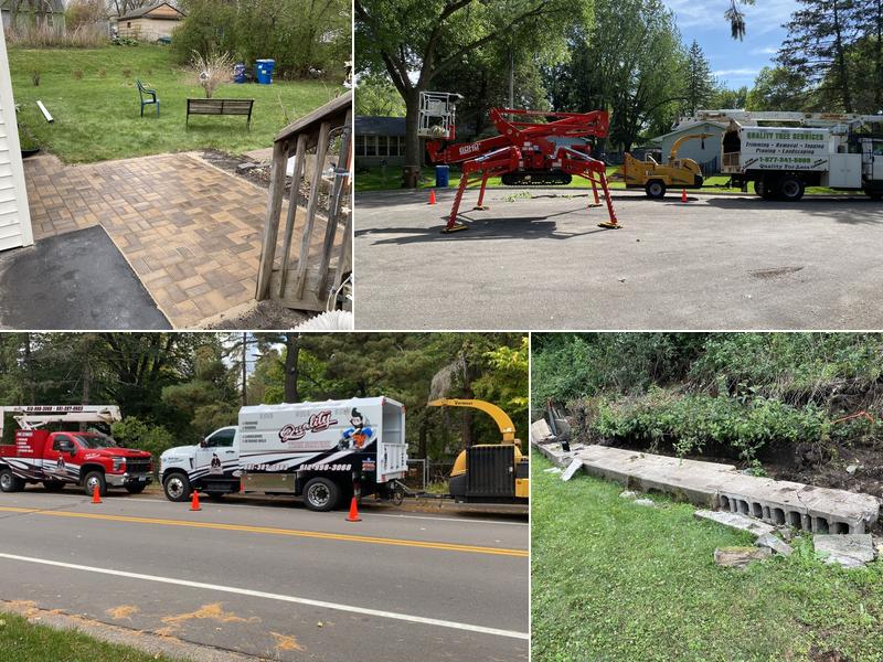 Quality Landscaping Tree services