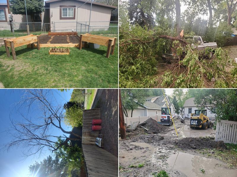 Peterson And Sons Tree And Handyman Service