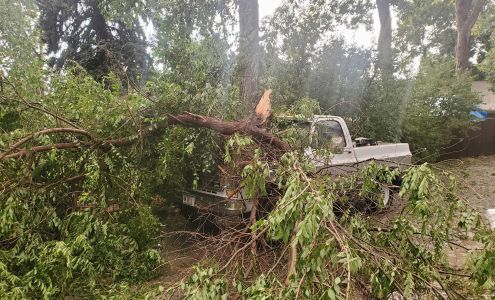 Peterson And Sons Tree And Handyman Service