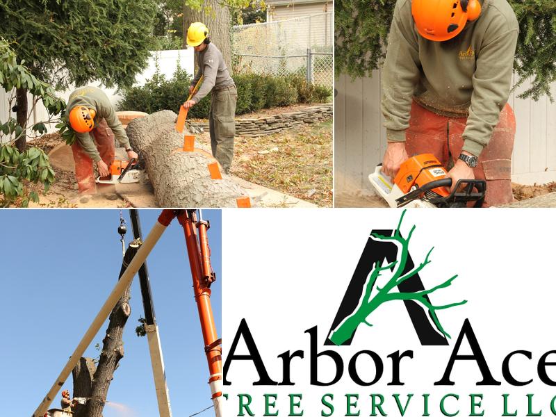 Arbor Ace Tree Service