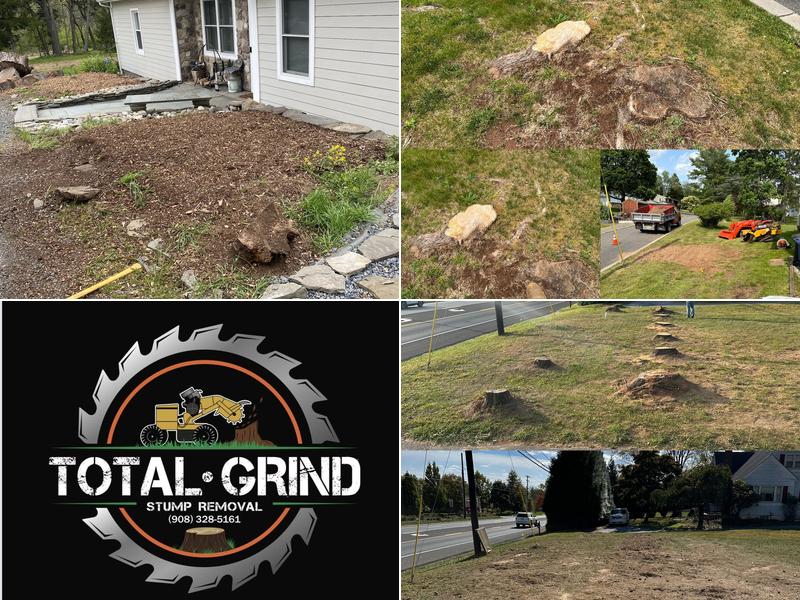 Total Grind Stump Removal