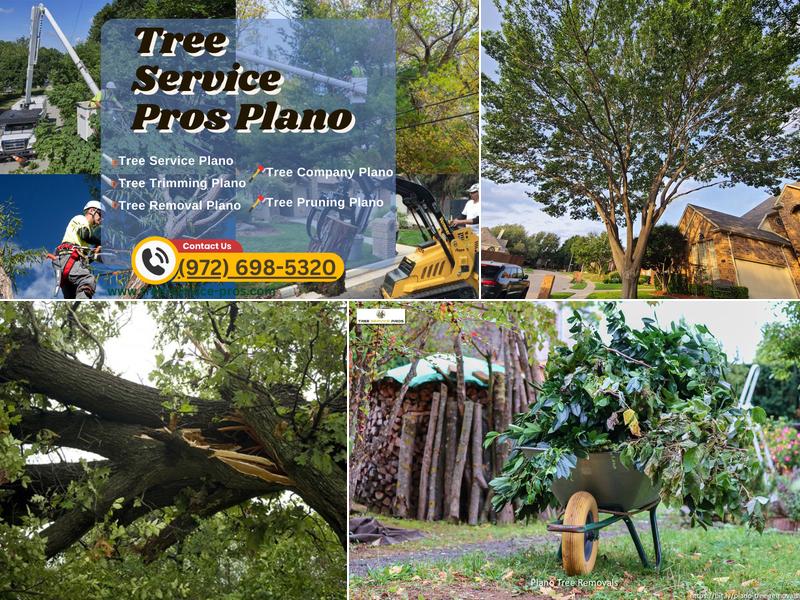Tree Service Pros of Plano