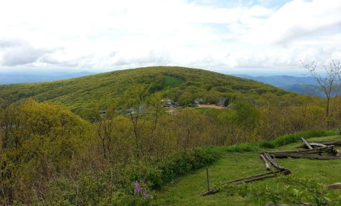 Richard's Stump & Tree Service 907 Ingleside Ln, Salem Virginia 24153