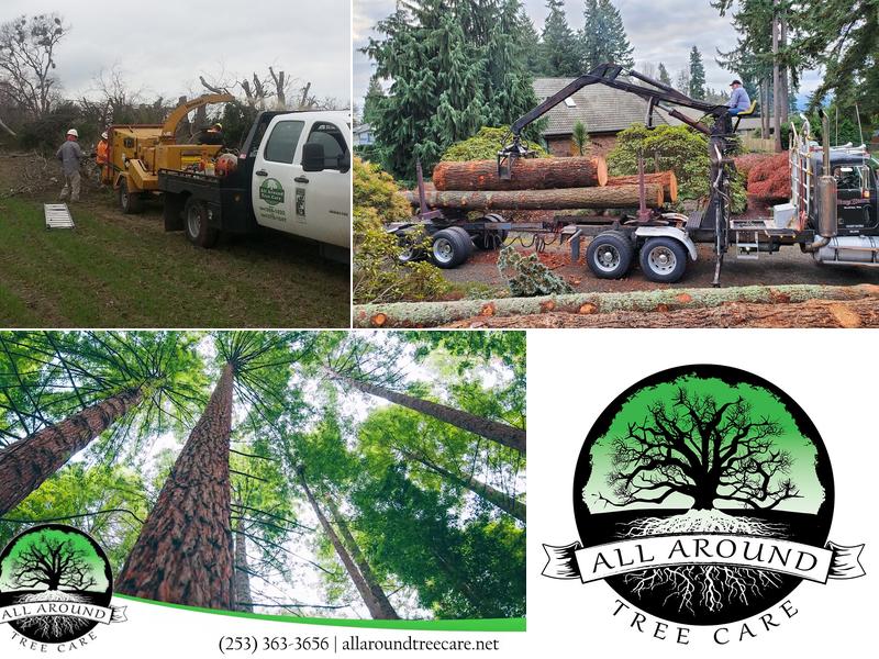 All Around Tree Care