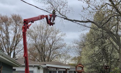 Forester Tree Service N63W22619 State Hwy 74, Sussex Wisconsin 53089