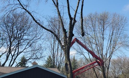 RG Tree Service N61W23198 Silver Spring Dr, Sussex Wisconsin 53089