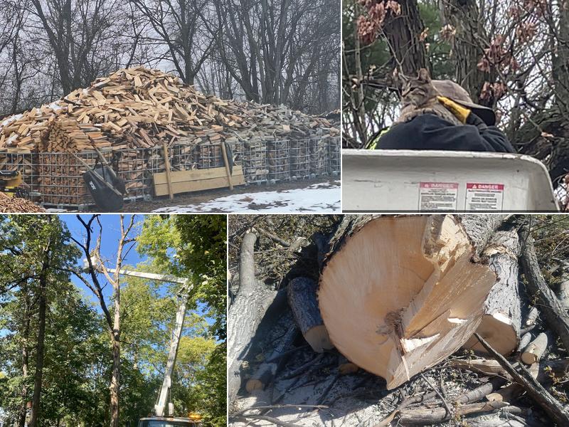 Brigzys Tree Service