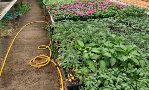 Fairview Nursery Fairview