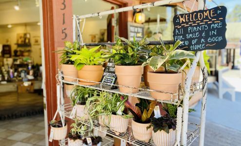 Roots Ruidoso Ruidoso