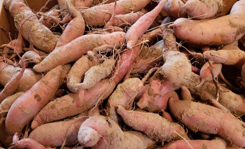 Fresh Life Now Farm Villa Ridge