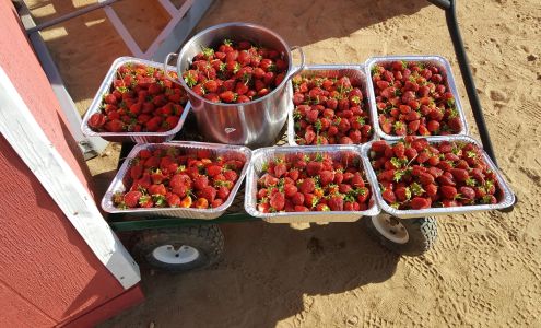 Sparacio Farms Bridgeton