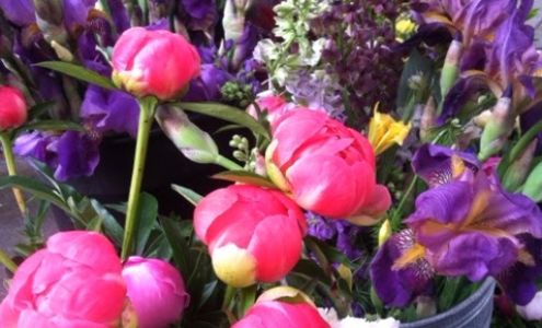 Native Farm Flowers Greenfield Center