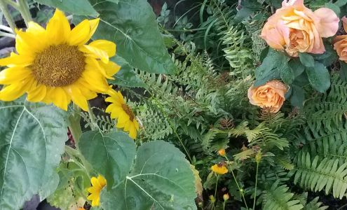 Fine Finishing Hardwood Floors 790 S 11th St, Wytheville Virginia 24382