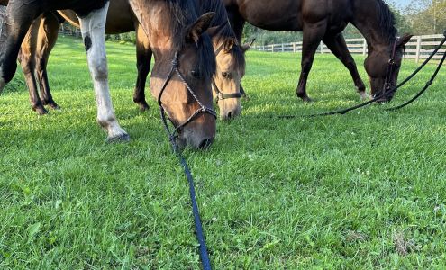 Upper Room Farms Mongaup Valley