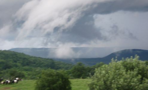Ort Family Farm Bradford