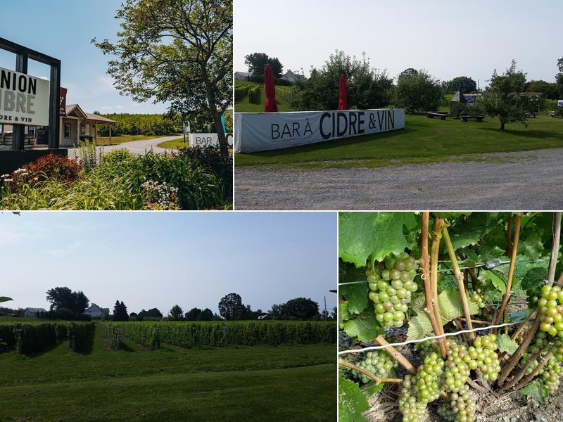 Union Libre - Cider & Wine