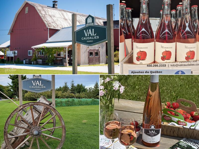 Val Caudalies - Vignoble & Cidrerie