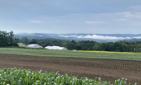 Dream Weaver Farm, LLC Richfield Springs