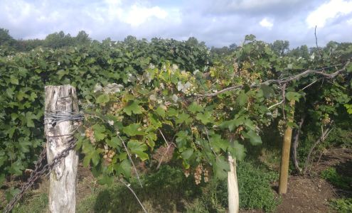 Farmthisway CSA Brant