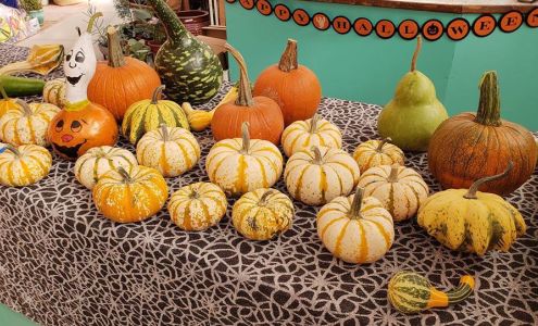 Great Gardens Torrington