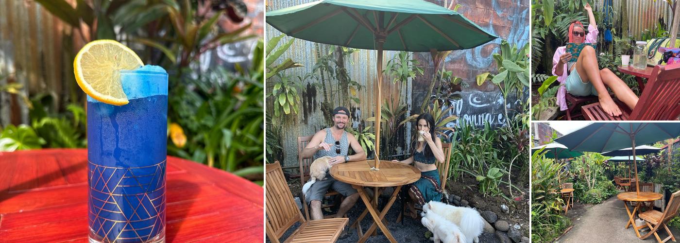 WoodRose Tea Lounge, Juice , Coffee and Elixir Bar