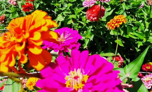 Crossing Brook Farm Bremo Bluff