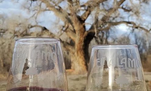 El Alamo Winery Alcalde