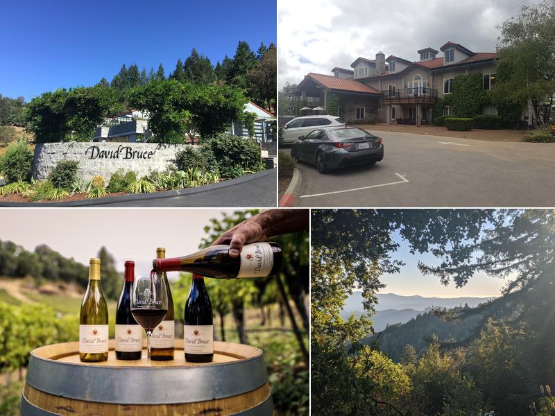 David Bruce Winery