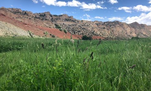 The Forbes Family Farm at Sheep Creek Ranch Manila