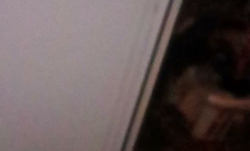 TORRES AUTO DETAILING