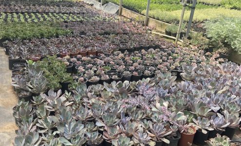 Horizon Landscape LLC