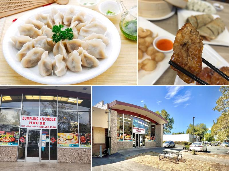 Dumpling and Noodle House