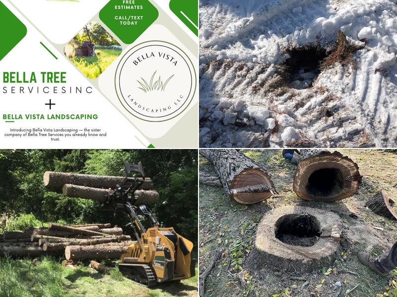 Bella Tree Service Montgomery