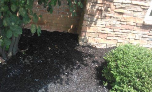 Schafer & Family Lawn Maintenance & more