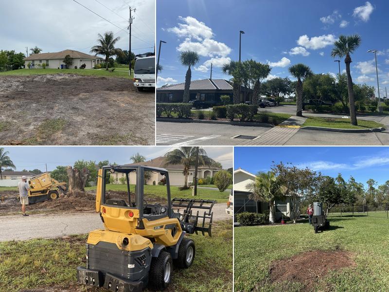 B&J Velasquez tree & lawn service