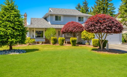 Reliable Tree & Landscape