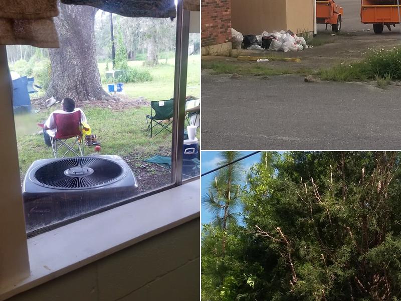 Asplundh Tree Expert Co