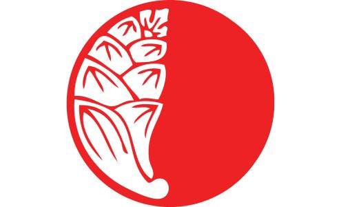 Photography RI (James P. Jones)