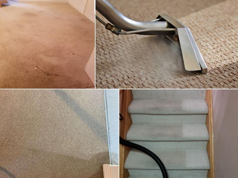 Magic Carpet Cleaning