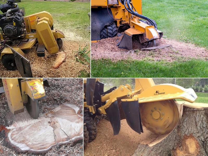 Affordable Stump Removal
