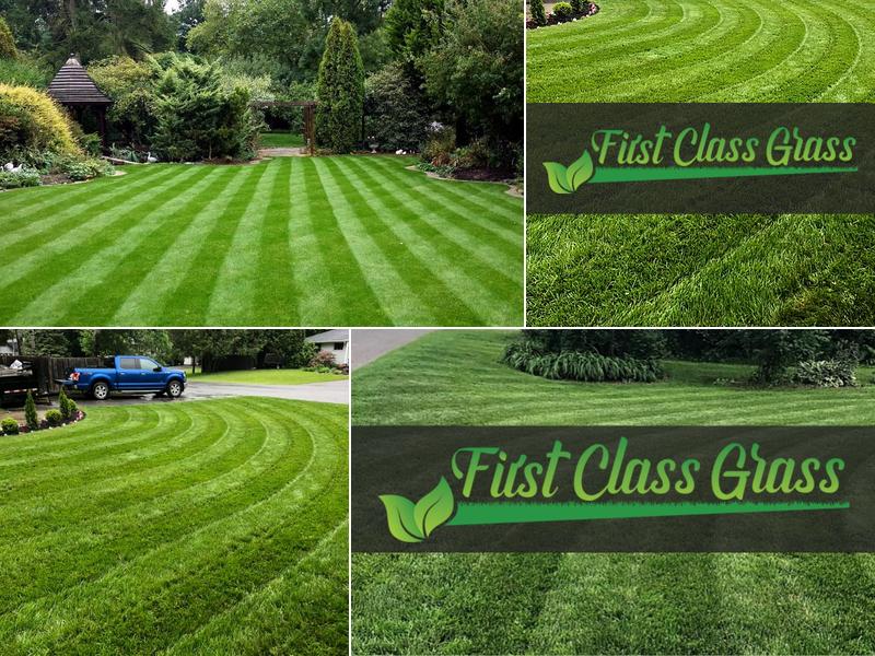 First Class Grass