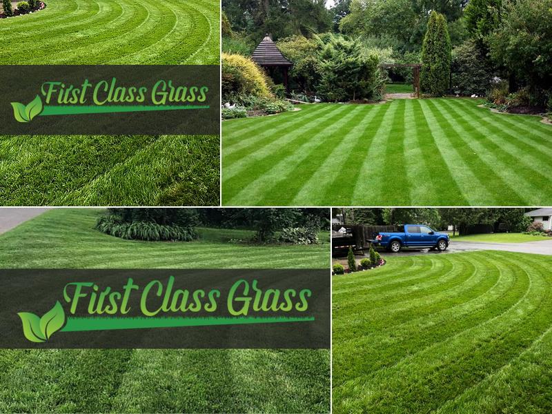 First Class Grass