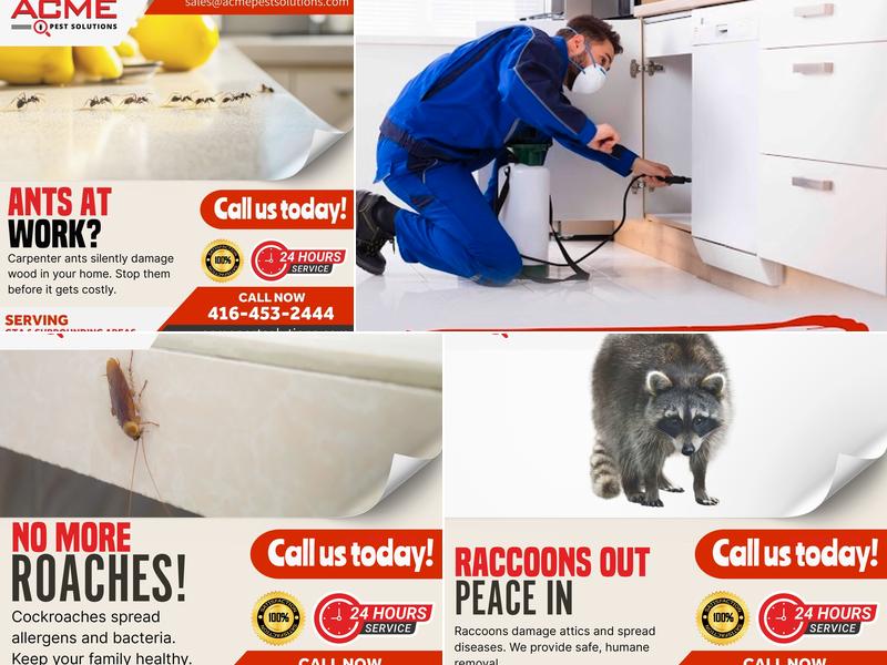 Acme Pest Solutions Toronto