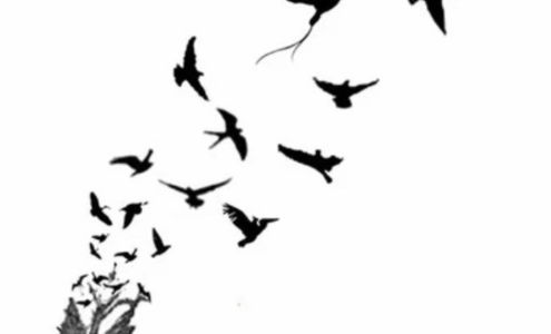 Feather Dusters Cleaning Services